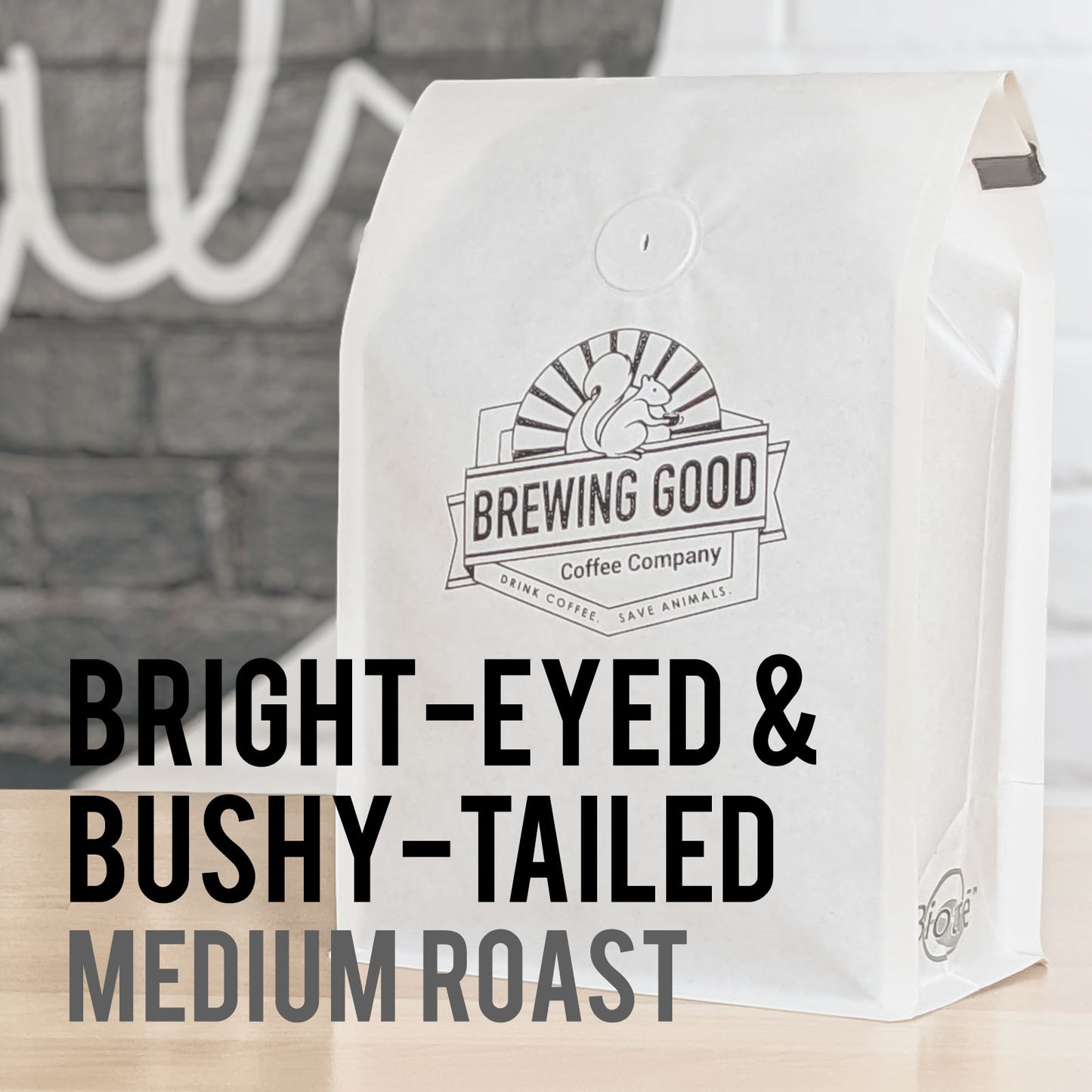 Bright-Eyed & Bushy-Tailed