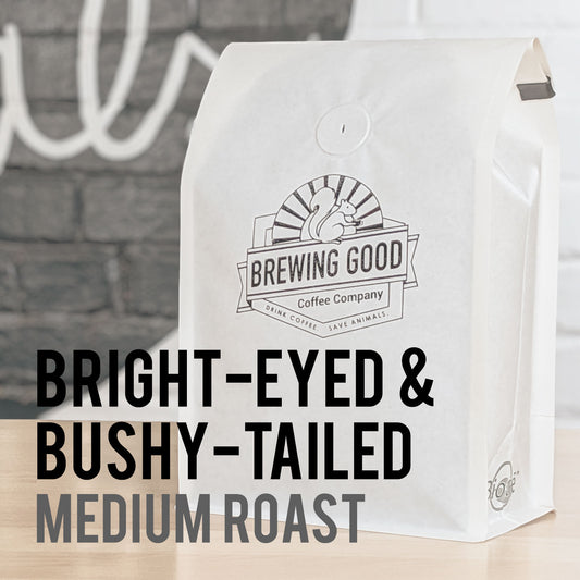 Bright-Eyed & Bushy-Tailed